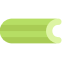 Celery